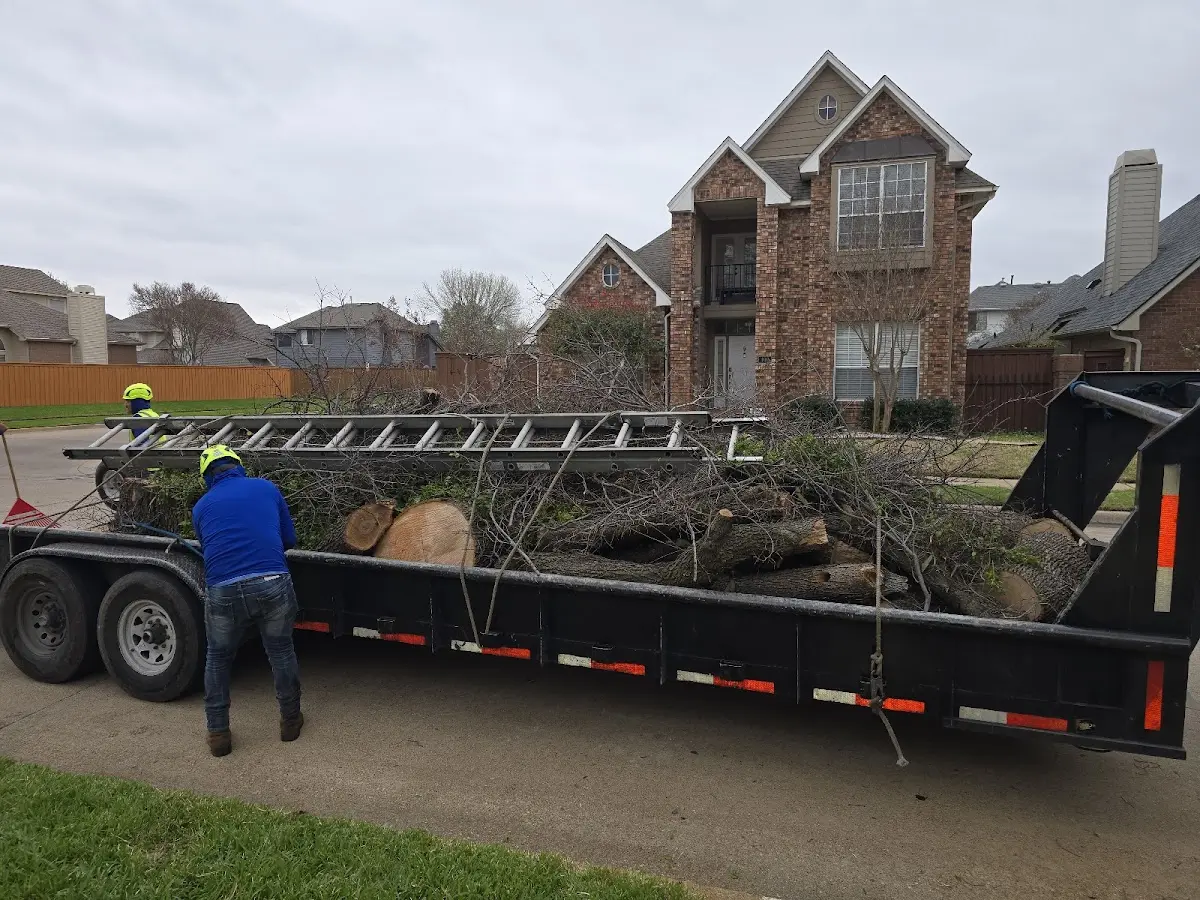 Expert Tree Fertilization with proper safety equipment in Benton